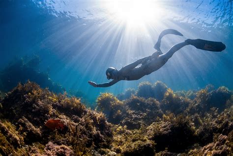 ‘what Is Freediving And Other Frequently Asked Questions