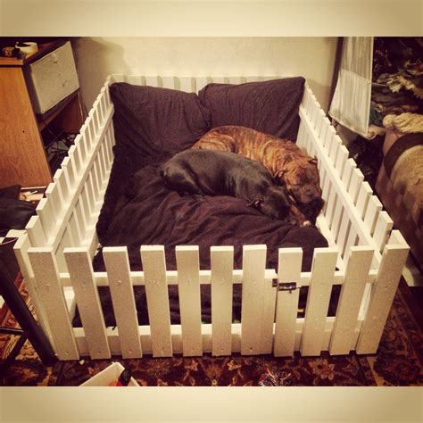 My Diy Dog Bed Cute Dog Beds Pet Beds Cute Dogs Diy Dog Fence Diy