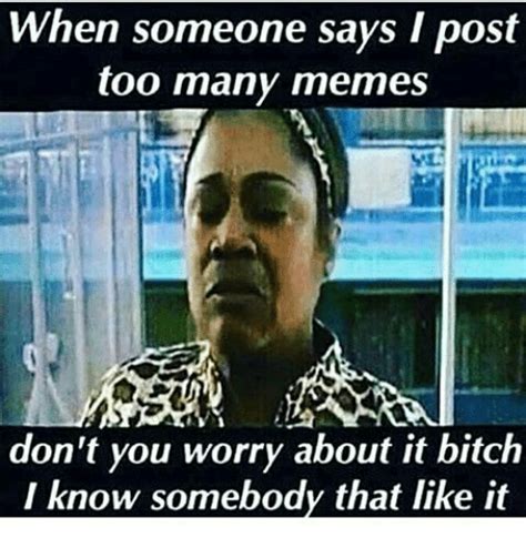 When Someone Says I Post Too Many Memes Dont You Worry About It Bitch