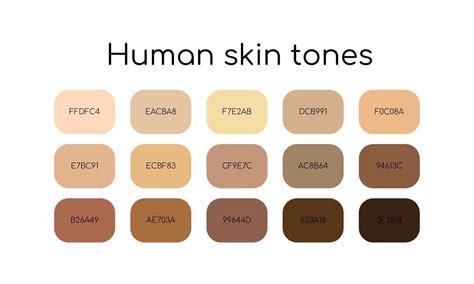Skin Tones Palette By Color Codes Different Types Human Skin Flat