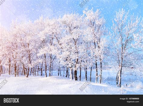 Winter Landscape Image And Photo Free Trial Bigstock
