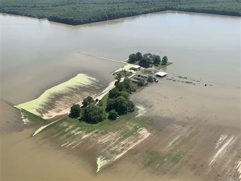 Mississippi Delta Farmers Wither Under Weight Of 4 Month Flood Here And Now