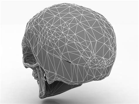 3d Real Human Skull Model Turbosquid 1784344