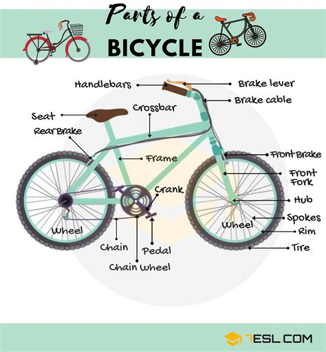 What Are The Diffe Parts Of A Bicycle Called In English