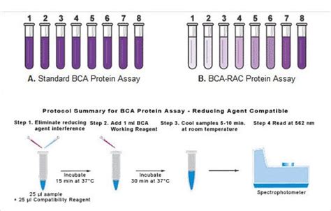 Pierce Bca Protein Assay Kit Reducing Agent Compatible Thermo