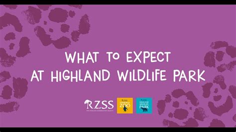 Plan Your Visit What To Expect At Highland Wildlife Park Royal