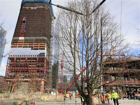 Tree That Survived 911 Attack Is Replanted At Ground Zero The Two
