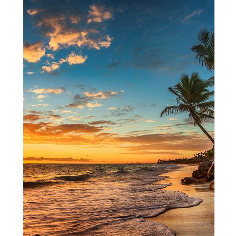 Sunset On The Beach Printed Backdrop Backdrop Express