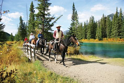 Banff Horseback Ride 3hr Bow Valley Loop Discover Banff Tours