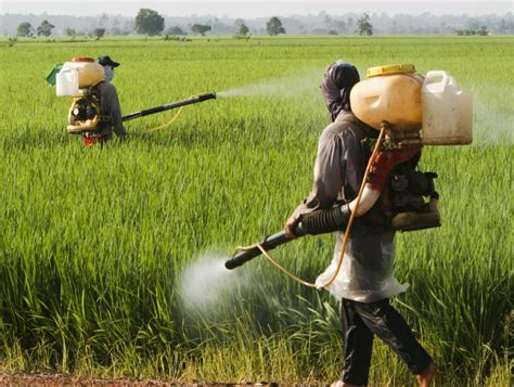 Herbicides And Pesticides