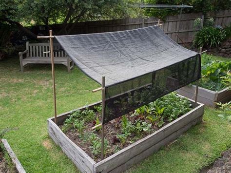 Shade Cloth Over Vegetable Garden 35 Great Shade Gardening Ideas