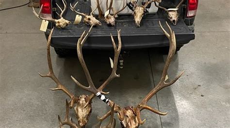 Two Men Indicted After Illegally Taking Big Game Animals