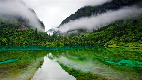 Nature Reserves China Forest Nature Green Lake Hd Wallpaper Peakpx