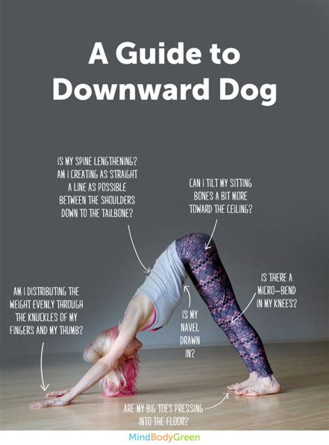 How To Do Downward Dog Cute Infographic Mindbodygreen