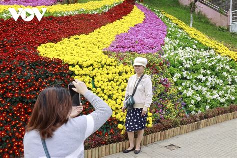 Top 57 Về Hình ảnh Vườn Hoa đà Lạt Mới Nhất Vn