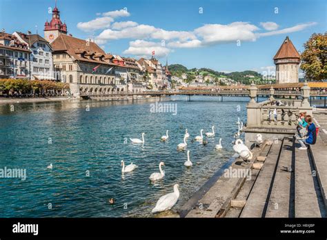 Tourists Feed Swans At The Riverbank Of The Reuss River Lucerne