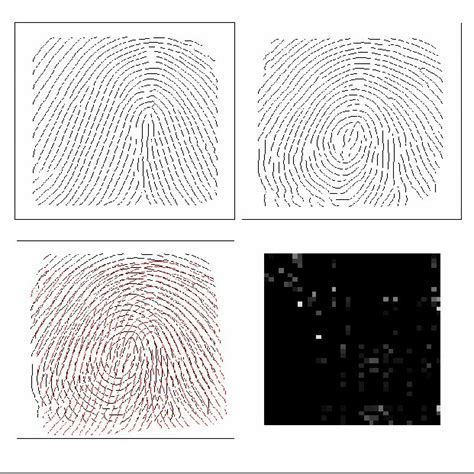 Pdf Ridge Based Fingerprint Matching Using Hough Transform