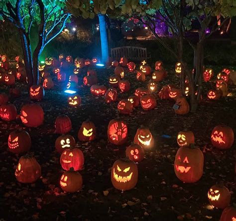 Magic Of The Jack Olanterns Comes To Hudson Gardens Mile High On The