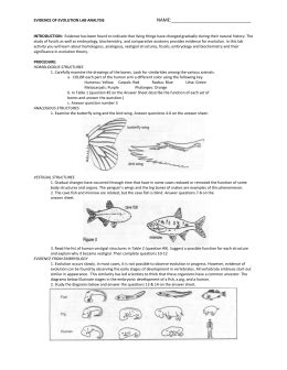 Darwin's finches by john gould. studylib.net - Essys, homework help, flashcards, research ...