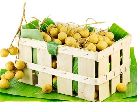 Import Product From Thai Fruits And Vegetables From Thailand