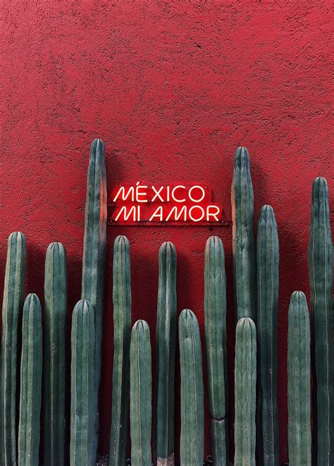 Traditional mexican mexican aesthetic wallpaper / a wide variety of mexican tradition options are available to you, such as technics see more ideas about mexico wallpaper, mexican art, art. 100+ Stunning Mexico Pictures [Scenic Travel Photos ...