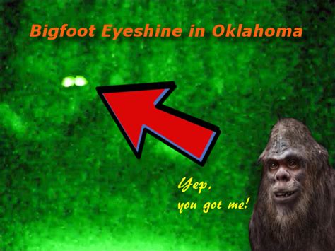 Bigfoot Eyeshine In Oklahoma The Crypto Crew