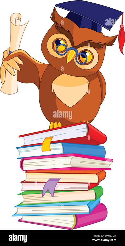 Cartoon Wise Owl With Graduation Cap And Diploma Stock Vector Image
