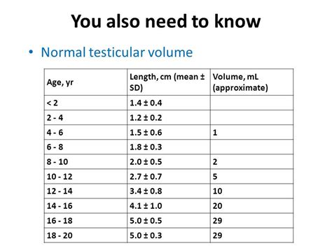 Normal Testis Size