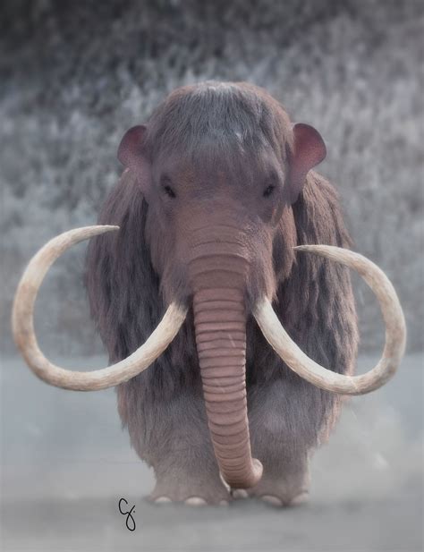 Mammuthus Primigenius The Woolly Mammoth Cgtrader