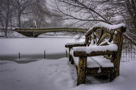 Central Park Bench Central Park Winter Scenes Winter