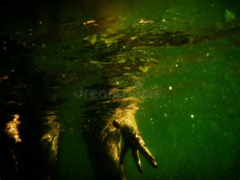 Person Standing In The Water Stock Image Image Of Cameraunderwater