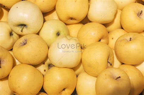 Check spelling or type a new query. Gambar Apel Kuning