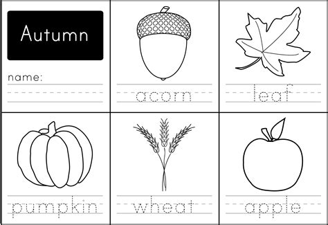 Parts Of A Leaf Printables Autumn And Fall Homeschool