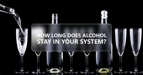 How Long Does Alcohol Stay In Your System For A Probation Drug Test