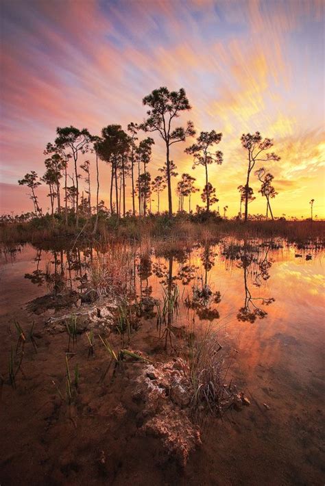 Wet Season Everglades National Park Florida Florida Nature