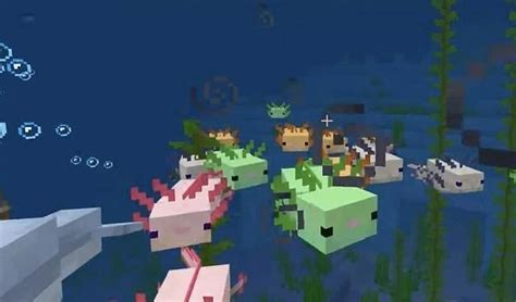 View 10 Axolotl Lush Minecraft Caves And Cliffs Update Mobs Blacrewasudo
