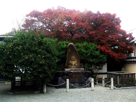 2013年1月5日のブログ記事一覧 Amadeusの「京都のおすすめ」 ブログ版（観光）