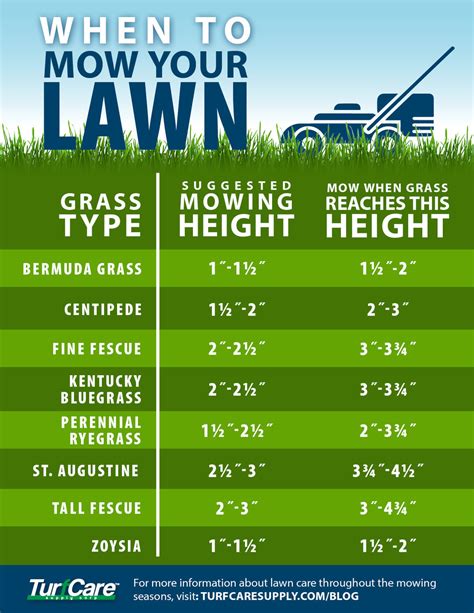 When To First Mow Your Lawn In The Spring Enjay Property Maintenance
