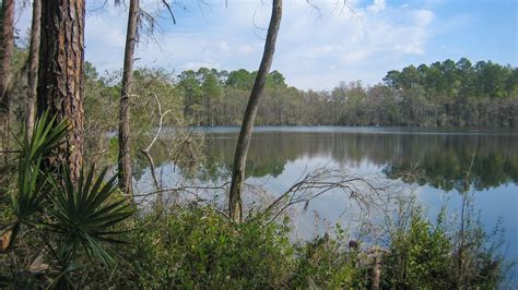 Lake Talquin State Park Florida Hikes