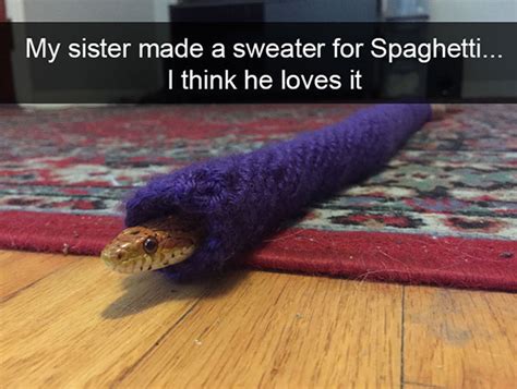 Snapchat Made For Unsolicited Dck Pics Perfected For Funny Animals