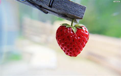 16 Astonishing Cute Strawberry Desktop Wallpapers Wallpaper Box
