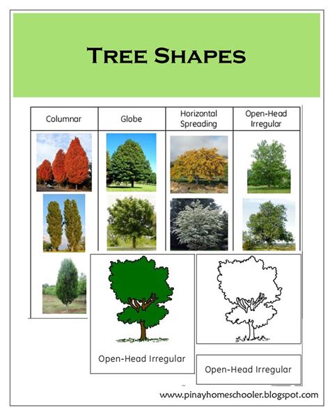 Tree Shapes Pinay Homeschooler Shop And Downloads Tree Shapes Tree