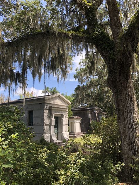 Check out the best tours and activities to experience bonaventure cemetery. Beautiful Bonaventure Cemetery, Savannah, GA : CemeteryPorn
