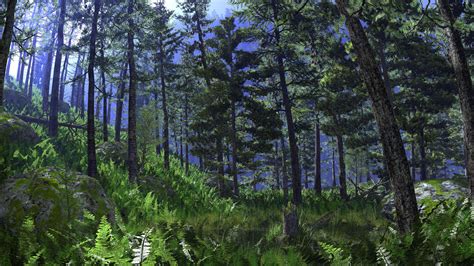 Boreal Forest Biomes