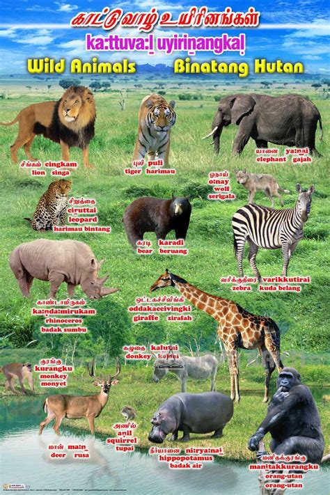 Wild Animals Chart Jaya Bakti