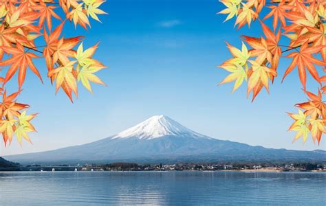 Premium Photo Fuji Mountain Landsapce Autumn And Fall Season Travel