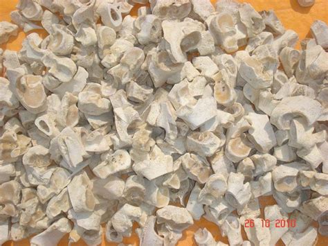 Sell Dried Cattle Bone Chips Manufacturer Supplier And Exporter