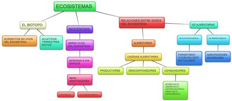 Mapa Conceptual De Ecosistemas Terrestres Simple Mapa Mentos Images The Best Porn Website