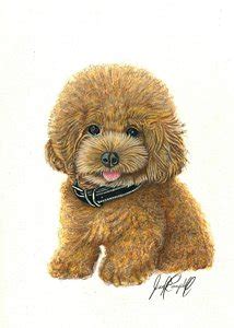 See more ideas about doodles, doodle tattoo, mini drawings. Gesgolden Doodle Mini Coloring Pages - Dog Coloring Pages ...
