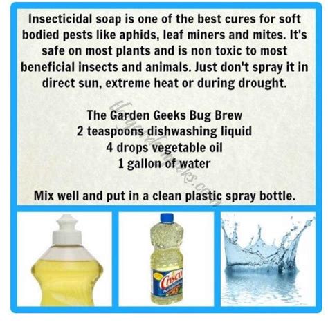 Here's a really simple recipe for diy insecticidal soap: Homemade insecticidal soap recipe | Insecticidal soap ...